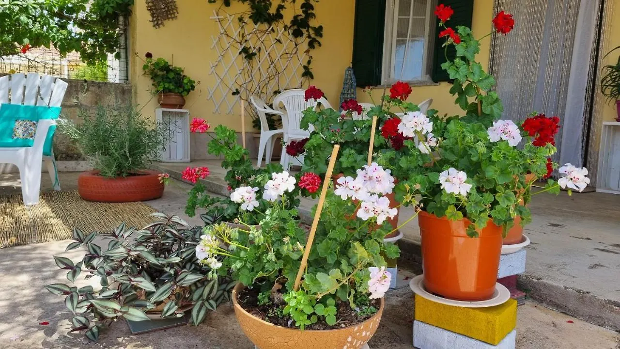 Casa Caracoles Hotell Santa Maria Del Focallo Italien